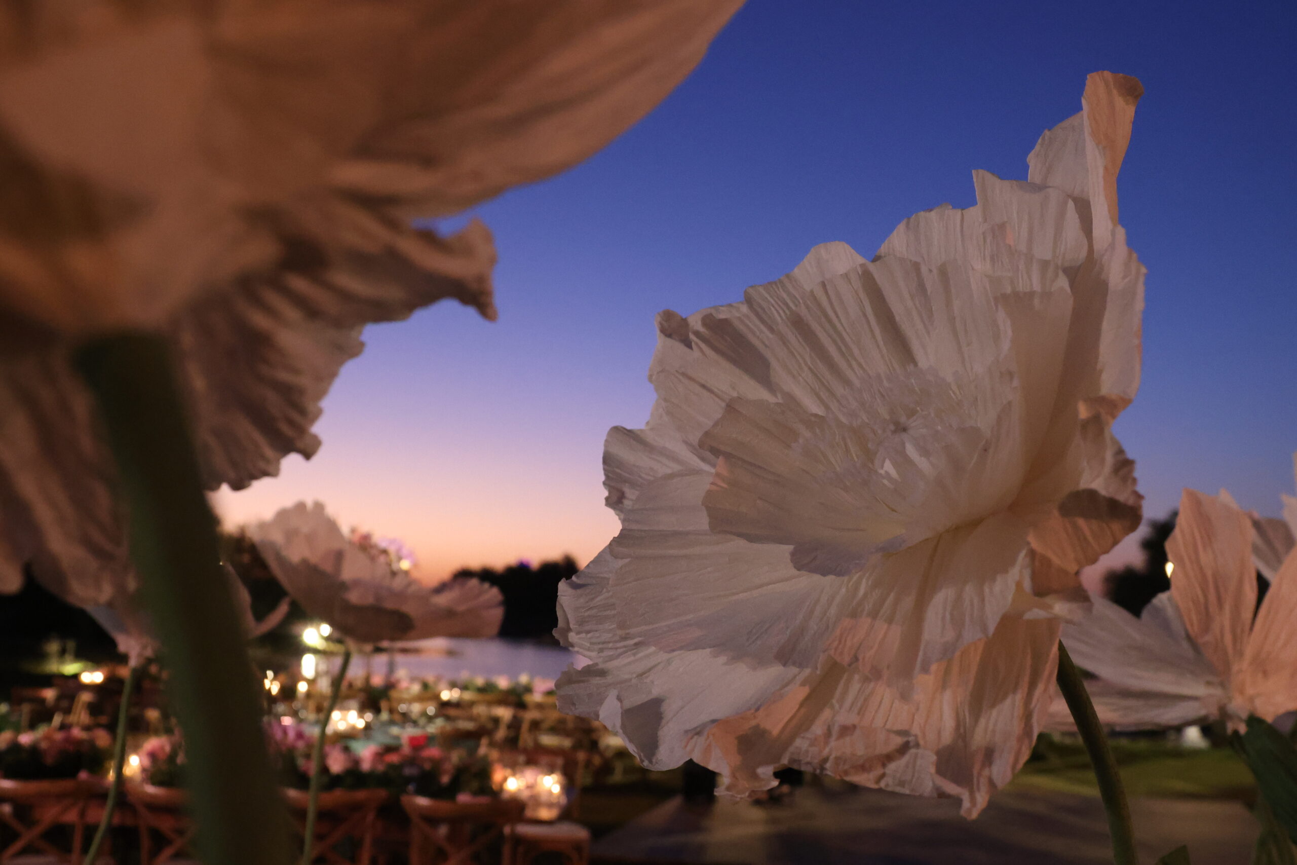 A VIE EVENT MANAGEMENT